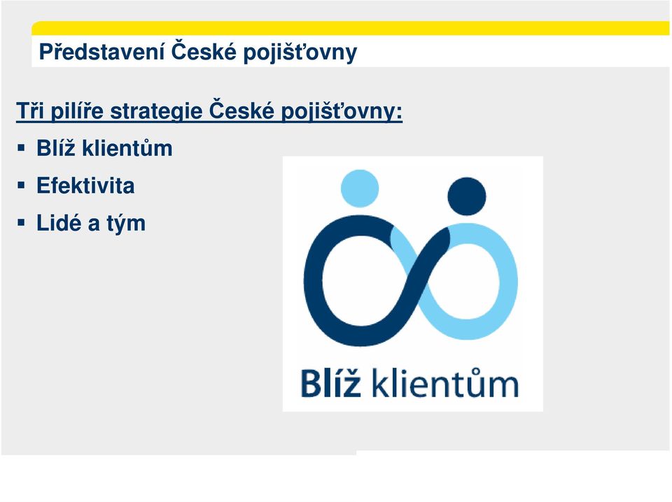 strategie České