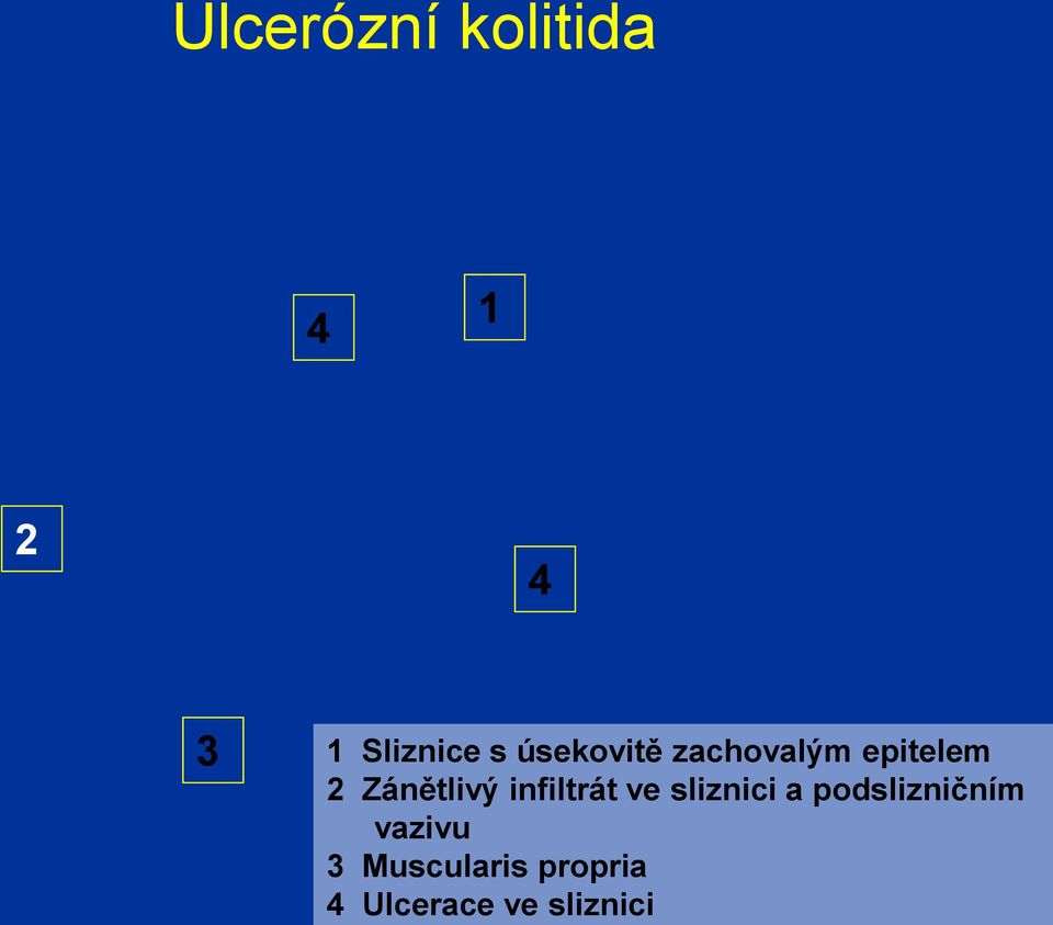 infiltrát ve sliznici a podslizničním