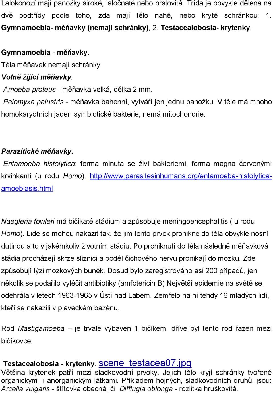 Pelomyxa palustris - měňavka bahenní, vytváří jen jednu panoţku. V těle má mnoho homokaryotních jader, symbiotické bakterie, nemá mitochondrie. Parazitické měňavky.