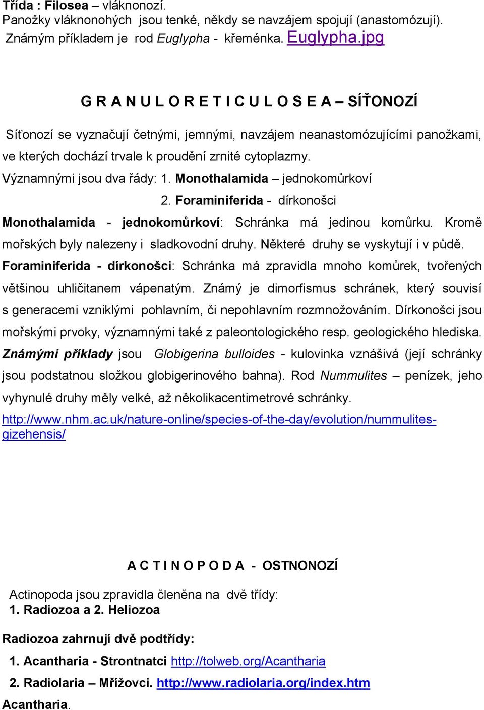 jpg G R A N U L O R E T I C U L O S E A SÍŤONOZÍ Síťonozí se vyznačují četnými, jemnými, navzájem neanastomózujícími panoţkami, ve kterých dochází trvale k proudění zrnité cytoplazmy.