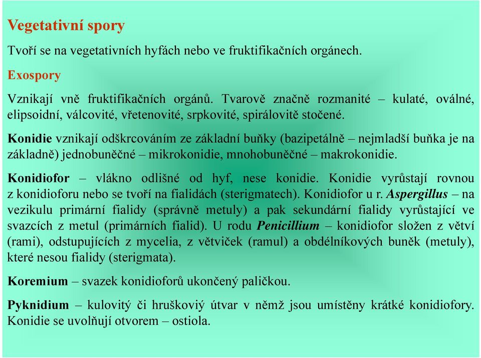 Konidie vznikají odškrcováním ze základní buňky (bazipetálně nejmladší buňka je na základně) jednobuněčné mikrokonidie, mnohobuněčné makrokonidie. Konidiofor vlákno odlišné od hyf, nese konidie.