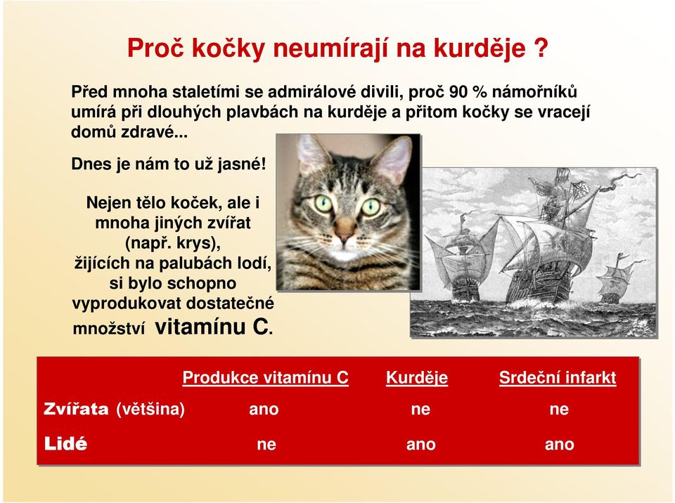 přitom kočky se vracejí domů zdravé... Dnes je nám to už jasné!