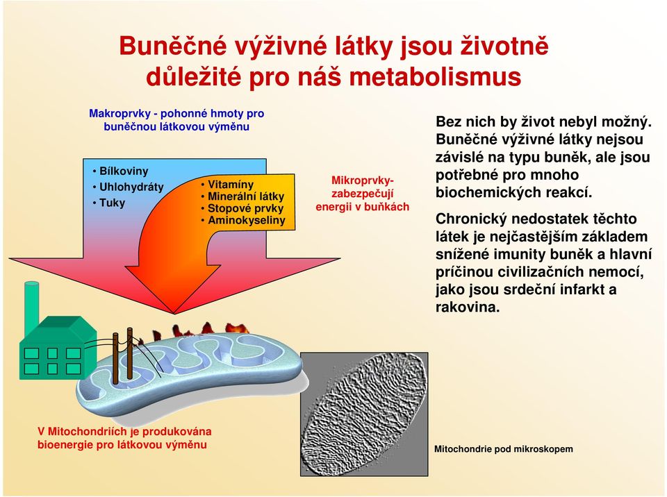 Buněčné výživné látky nejsou závislé na typu buněk, ale jsou potřebné pro mnoho biochemických reakcí.