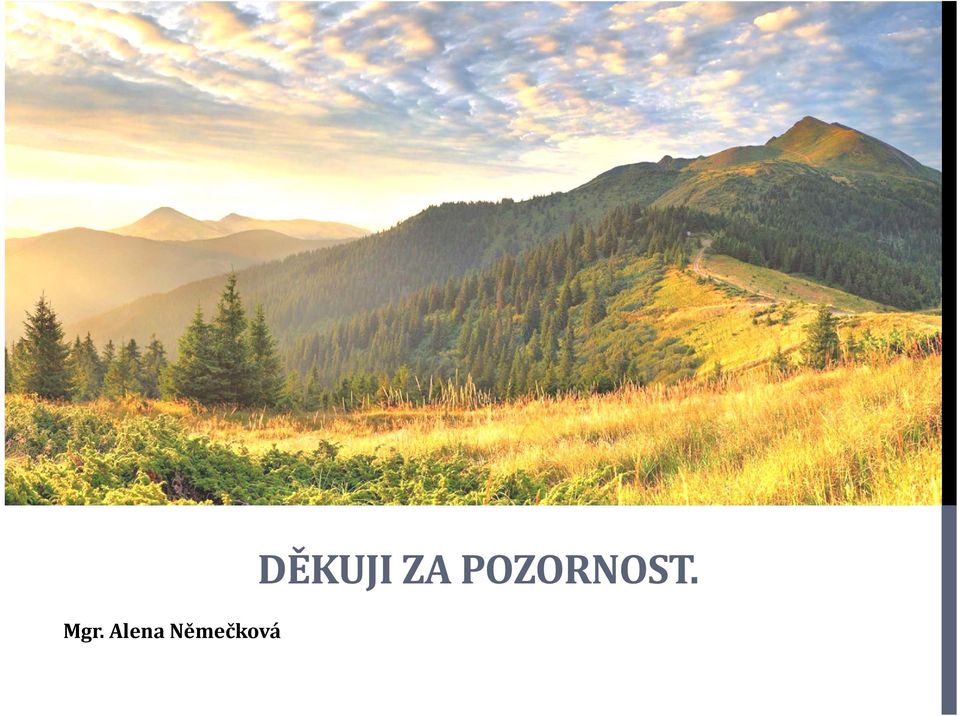 DĚKUJI ZA