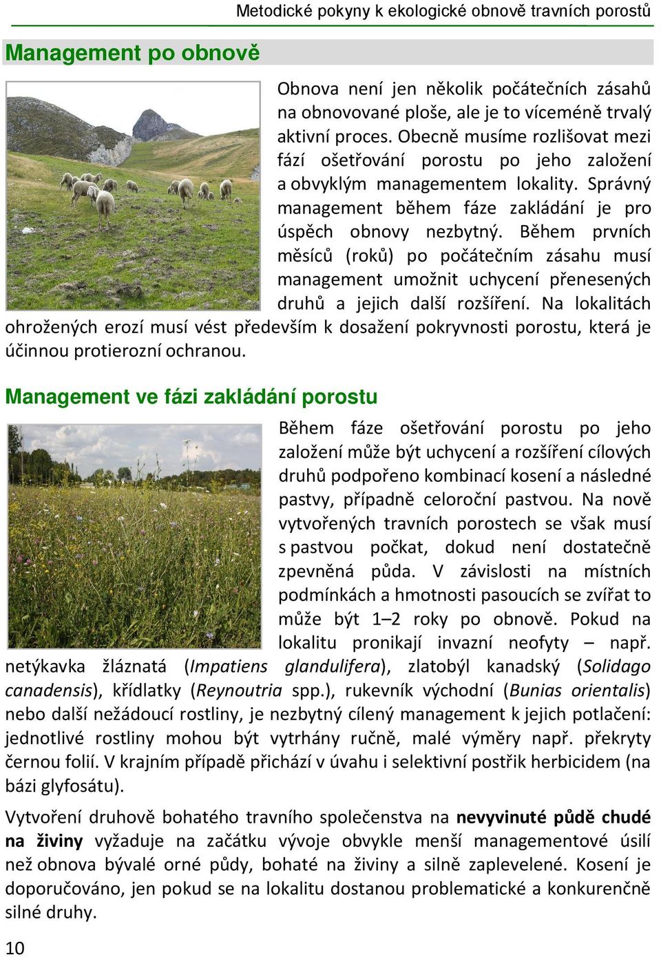Během prvních měsíců (roků) po počátečním zásahu musí management umožnit uchycení přenesených druhů a jejich další rozšíření.