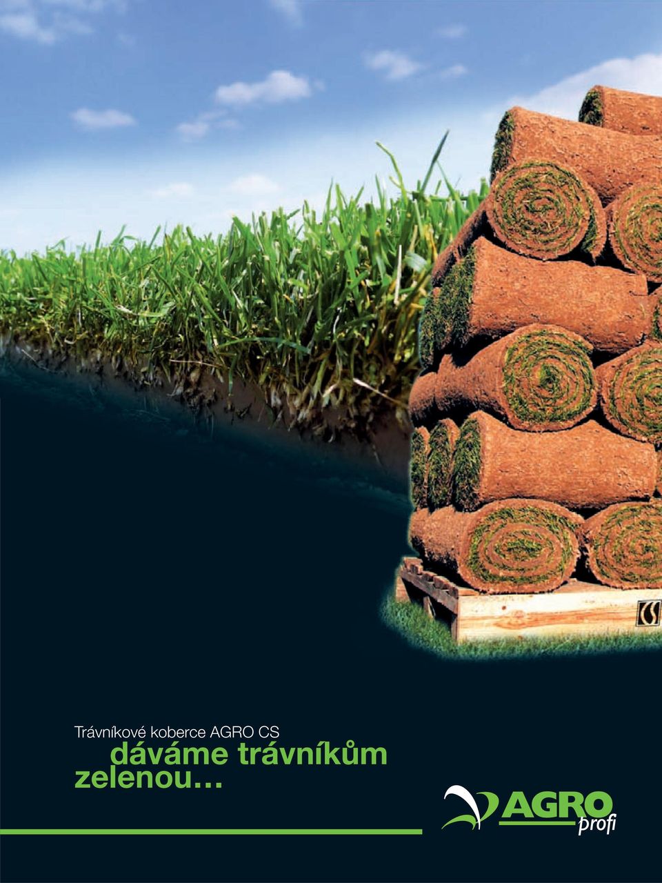 Trávníkové koberce AGRO CS. dáváme trávníkům zelenou - PDF Free Download