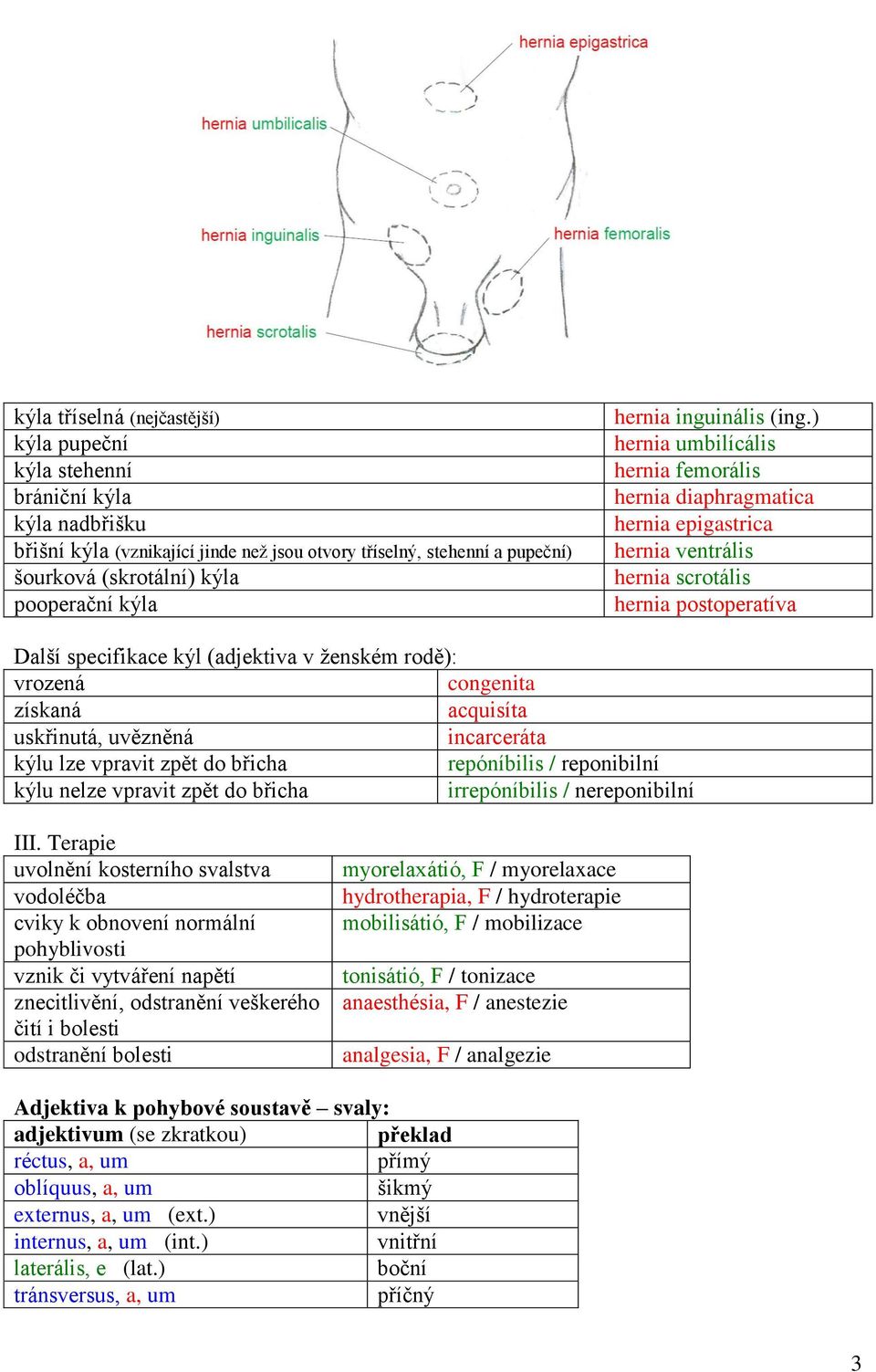) hernia umbilícális hernia femorális hernia diaphragmatica hernia epigastrica hernia ventrális hernia scrotális hernia postoperatíva Další specifikace kýl (adjektiva v ženském rodě): vrozená