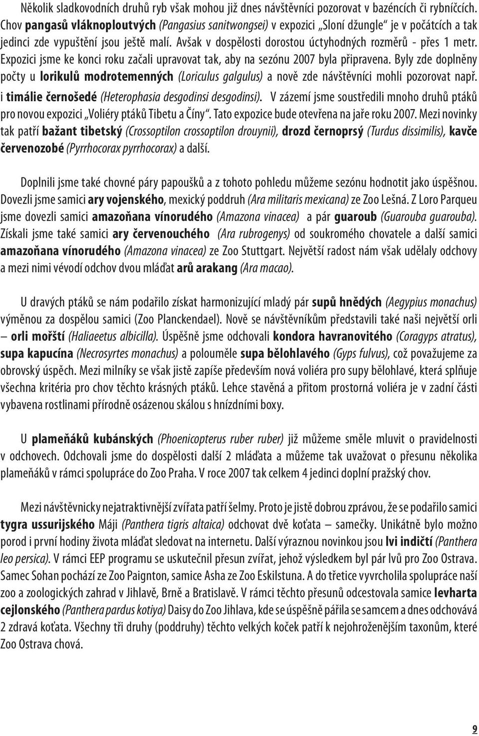 Avšak v dospělosti dorostou úctyhodných rozměrů - přes 1 metr. Expozici jsme ke konci roku začali upravovat tak, aby na sezónu 2007 byla připravena.