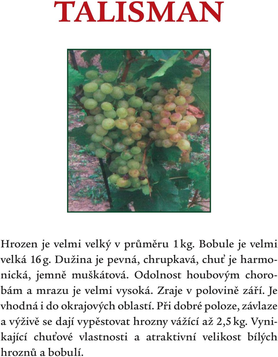 Odolnost houbovým chorobám a mrazu je velmi vysoká. Zraje v polovině září.