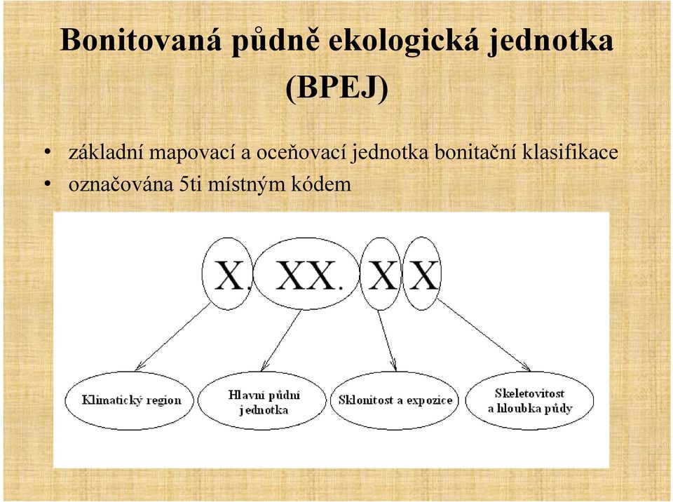 a oceňovací jednotka bonitační