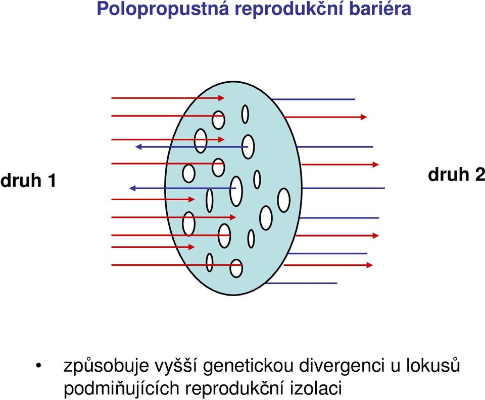 reprodukční izolaci Ellegren et al. 2012.