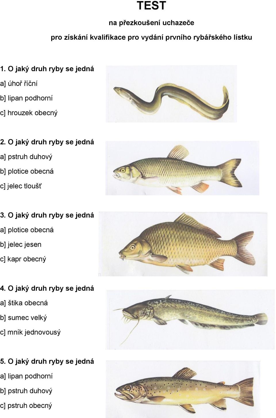 O jaký druh ryby se jedná a] pstruh duhový b] plotice obecná c] jelec tloušť 3.