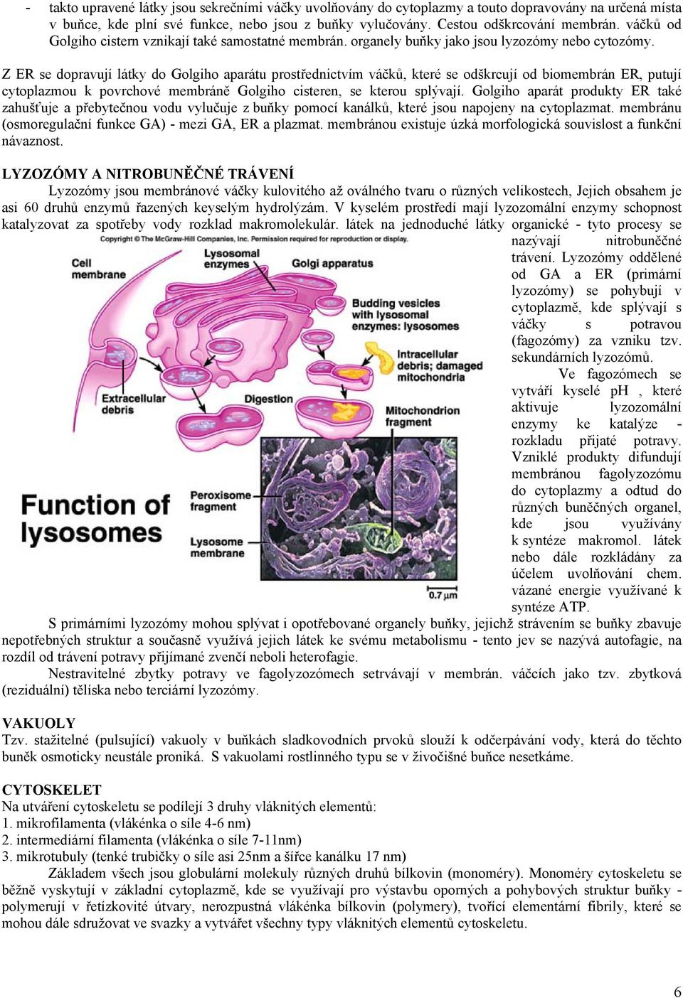 Z ER se dopravují látky do Golgiho aparátu prostřednictvím váčků, které se odškrcují od biomembrán ER, putují cytoplazmou k povrchové membráně Golgiho cisteren, se kterou splývají.