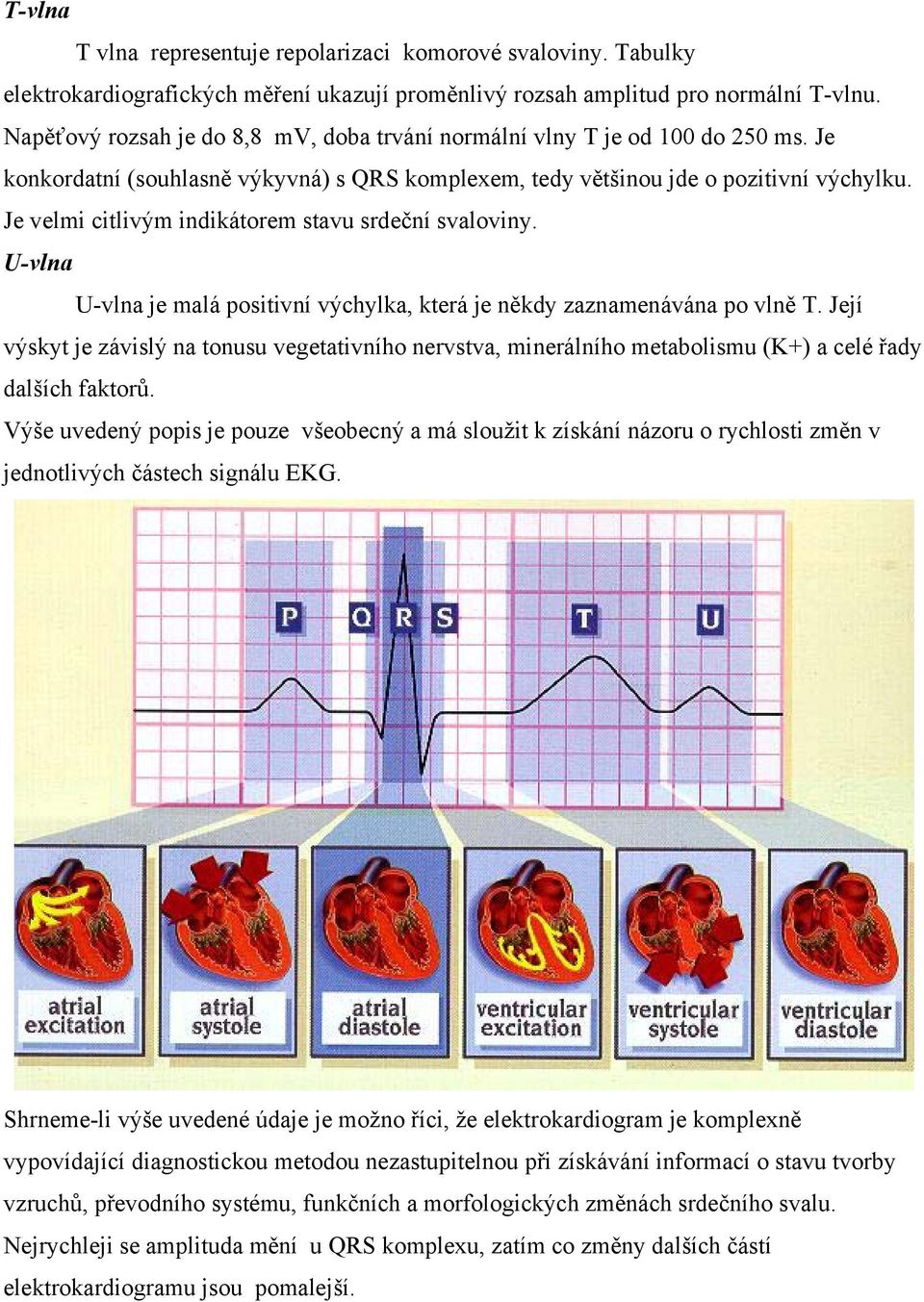 Je velmi citlivým indikátorem stavu srdeční svaloviny. U-vlna U-vlna je malá positivní výchylka, která je někdy zaznamenávána po vlně T.