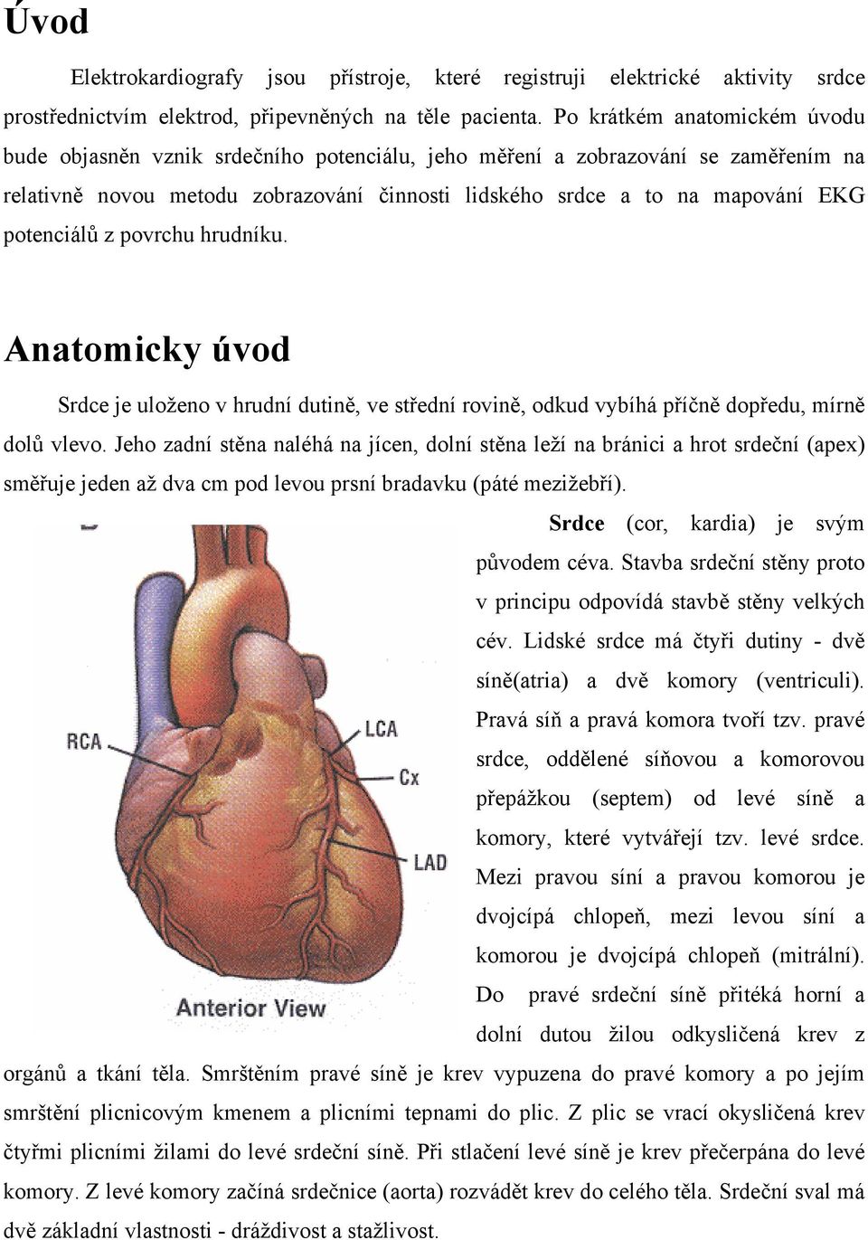 potenciálů z povrchu hrudníku. Anatomicky úvod Srdce je uloženo v hrudní dutině, ve střední rovině, odkud vybíhá příčně dopředu, mírně dolů vlevo.