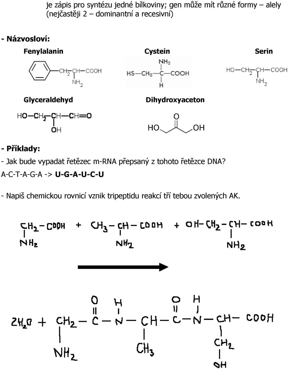 Dihydroxyaceton - Příklady: - Jak bude vypadat řetězec m-rna přepsaný z tohoto řetězce