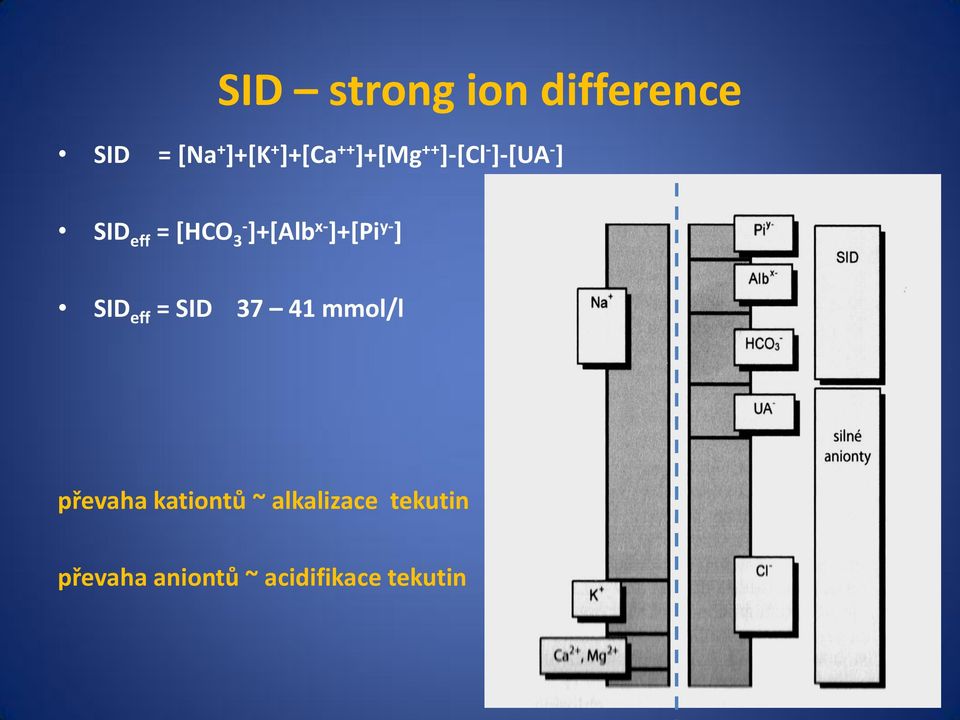 ]+[Pi y- ] SID eff = SID 37 41 mmol/l převaha kationtů