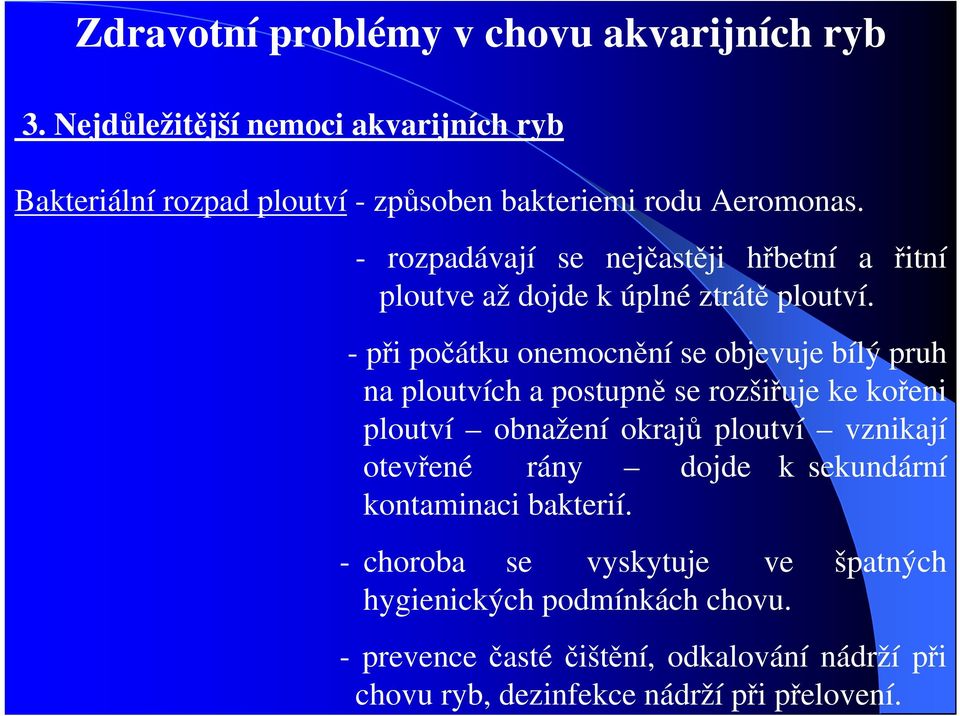 - při počátku onemocnění se objevuje bílý pruh na ploutvích a postupně se rozšiřuje ke kořeni ploutví obnažení okrajů