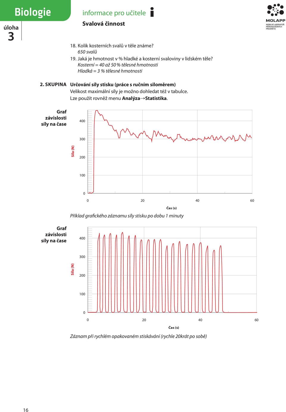 Kosterní = 40 až 50 % tělesné hmotnosti Hladká = % tělesné hmotnosti Určování síly stisku (práce s ručním siloměrem) Velikost maximální síly je možno dohledat