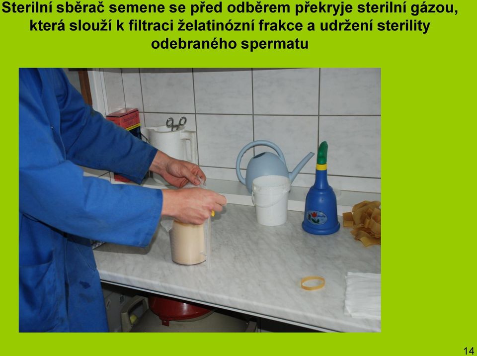 která slouží k filtraci želatinózní