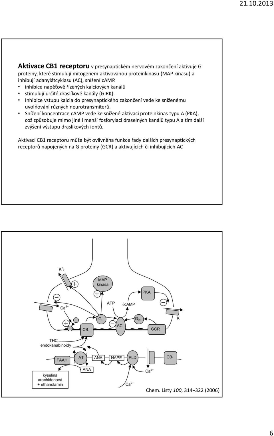 Inhibice vstupu kalcia do presynaptického zakončení vede ke sníženému uvolňování různých neurotransmiterů.