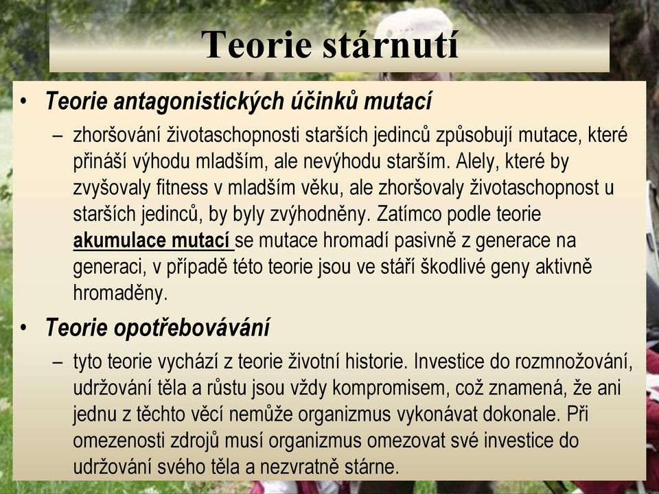 Zatímco podle teorie akumulace mutací se mutace hromadí pasivně z generace na generaci, v případě této teorie jsou ve stáří škodlivé geny aktivně hromaděny.