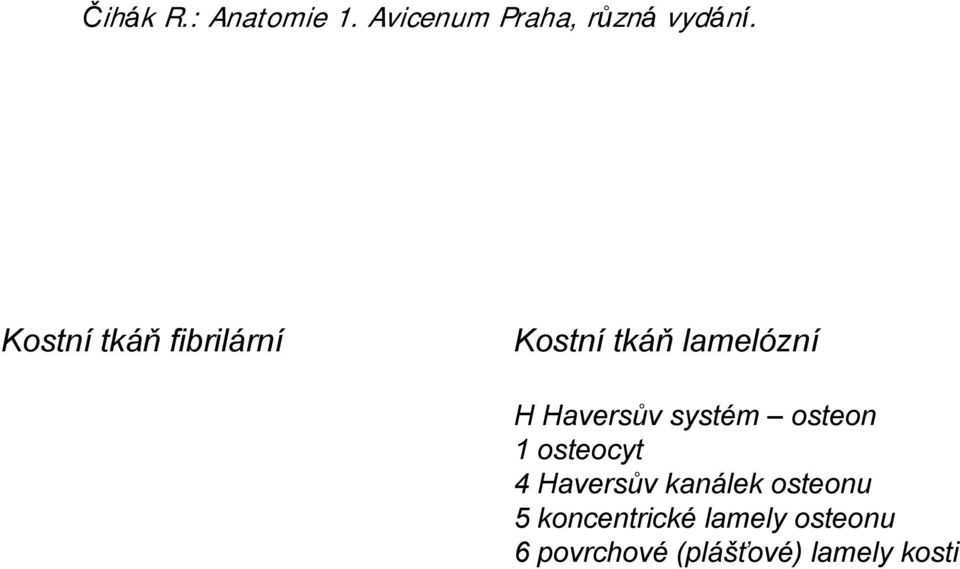 systém osteon 1 osteocyt 4 Haversův kanálek osteonu 5