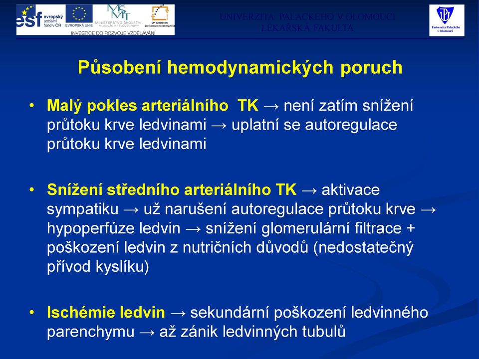 autoregulace průtoku krve hypoperfúze ledvin snížení glomerulární filtrace + poškození ledvin z nutričních