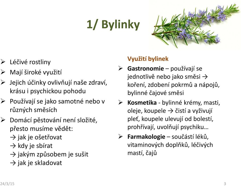 Gastronomie používají se jednotlivě nebo jako směsi koření, zdobení pokrmů a nápojů, bylinné čajové směsi Kosmetika -bylinné krémy, masti, oleje, koupele