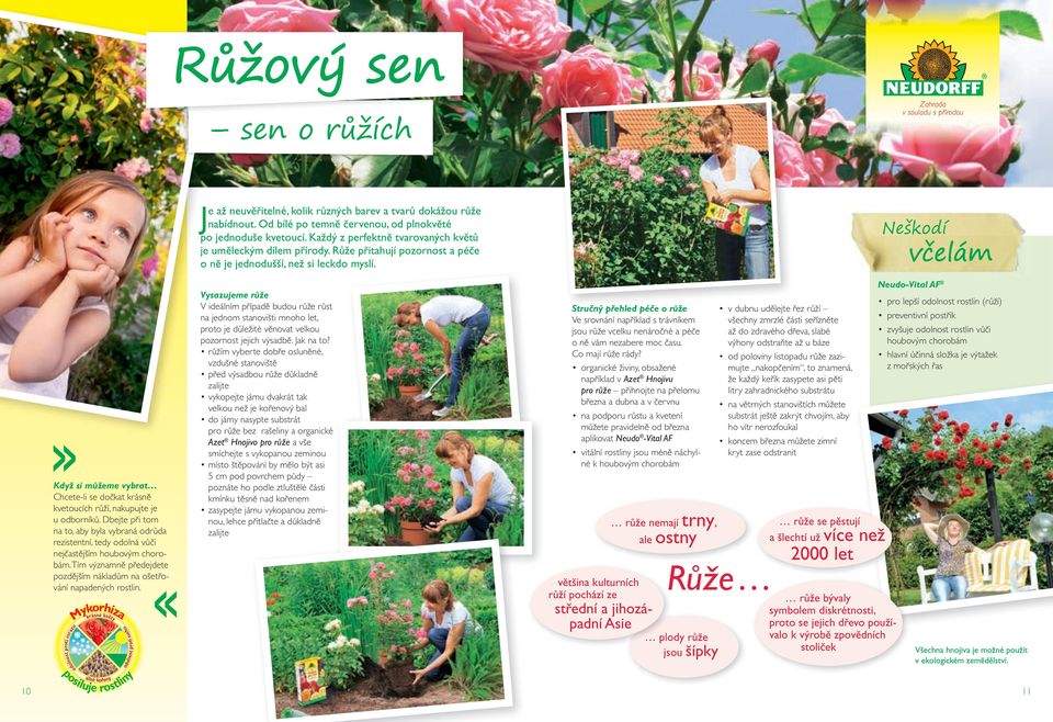 Neškodí včelám Když si můžeme vybrat Chcete-li se dočkat krásně kvetoucích růží, nakupujte je u odborníků.
