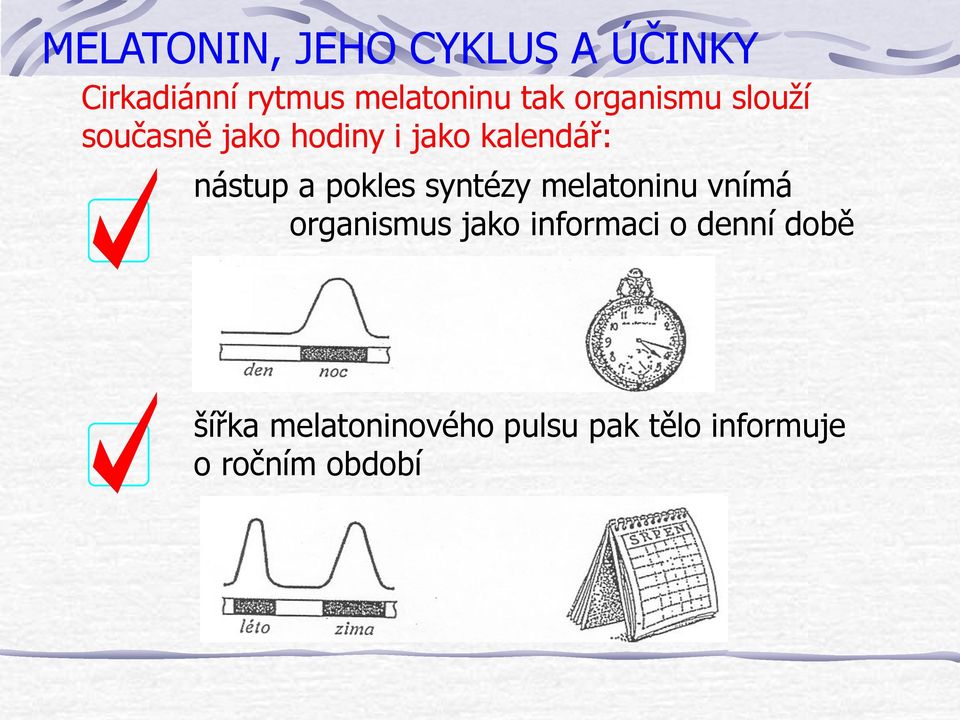 pokles syntézy melatoninu vnímá organismus jako informaci o denní