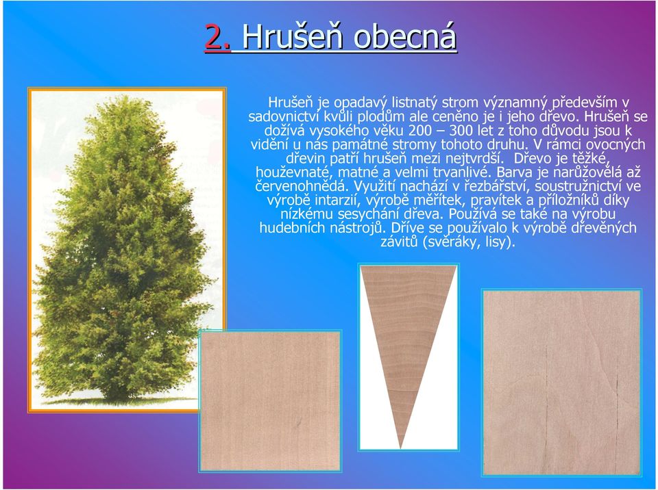 V rámci ovocných dřevin patří hrušeň mezi nejtvrdší. Dřevo je těžké, houževnaté, matné a velmi trvanlivé. Barva je narůžovělá až červenohnědá.