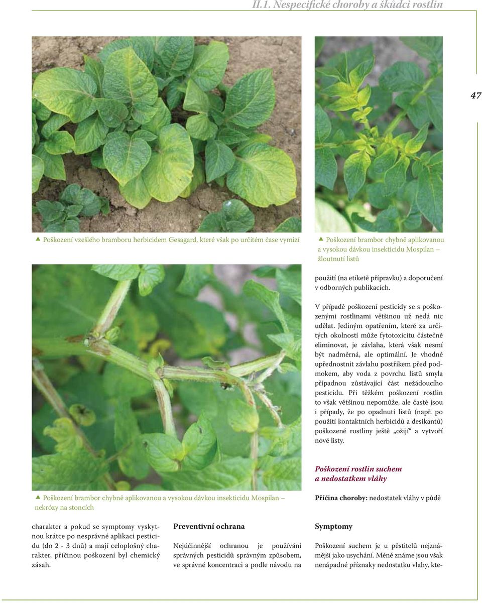 II.1. Nespecifické choroby a škůdci rostlin - PDF Free Download