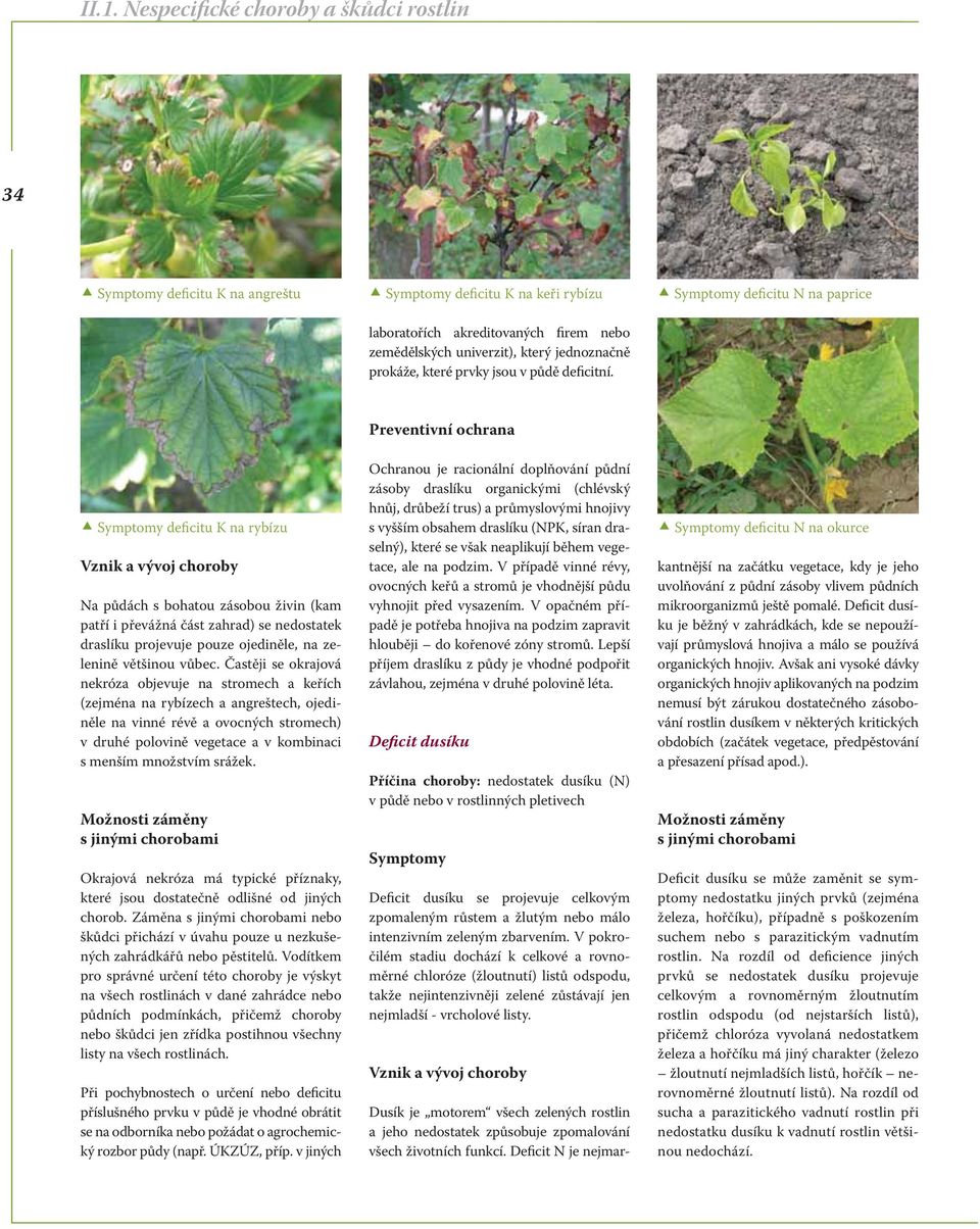 Častěji se okrajová nekróza objevuje na stromech a keřích (zejména na rybízech a angreštech, ojediněle na vinné révě a ovocných stromech) v druhé polovině vegetace a v kombinaci s menším množstvím