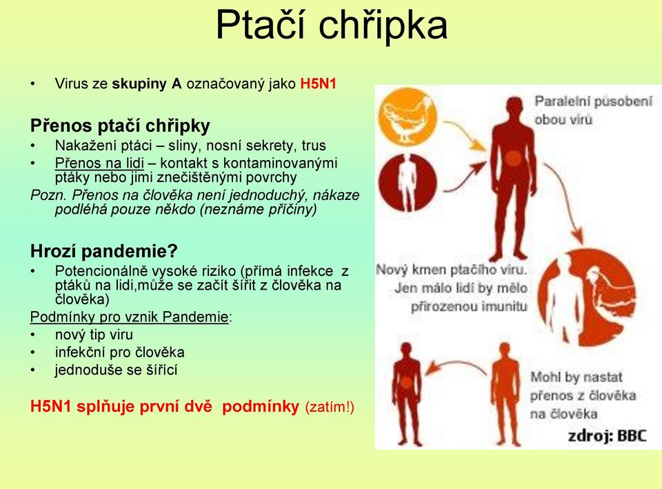 Přenos na člověka není jednoduchý, nákaze podléhá pouze někdo (neznáme příčiny) Hrozí pandemie?