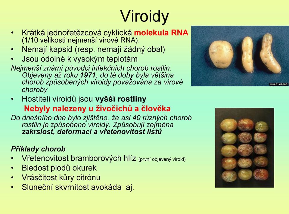 Objeveny až roku 1971, do té doby byla většina chorob způsobených viroidy považována za virové choroby Hostiteli viroidů jsou vyšší rostliny Nebyly nalezeny u živočichů a