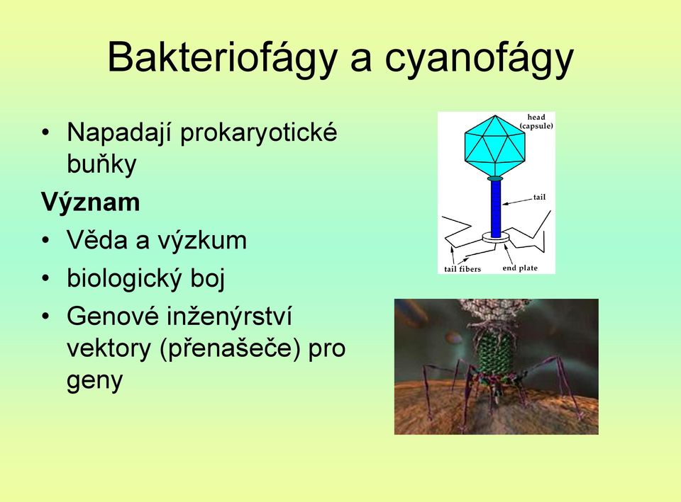 výzkum biologický boj Genové