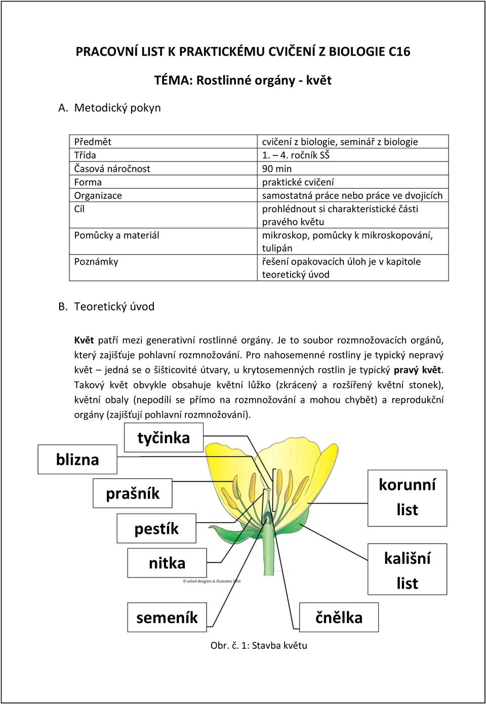 ročník SŠ 90 min praktické cvičení samostatná práce nebo práce ve dvojicích prohlédnout si charakteristické části pravého květu mikroskop, pomůcky k mikroskopování, tulipán řešení opakovacích úloh je