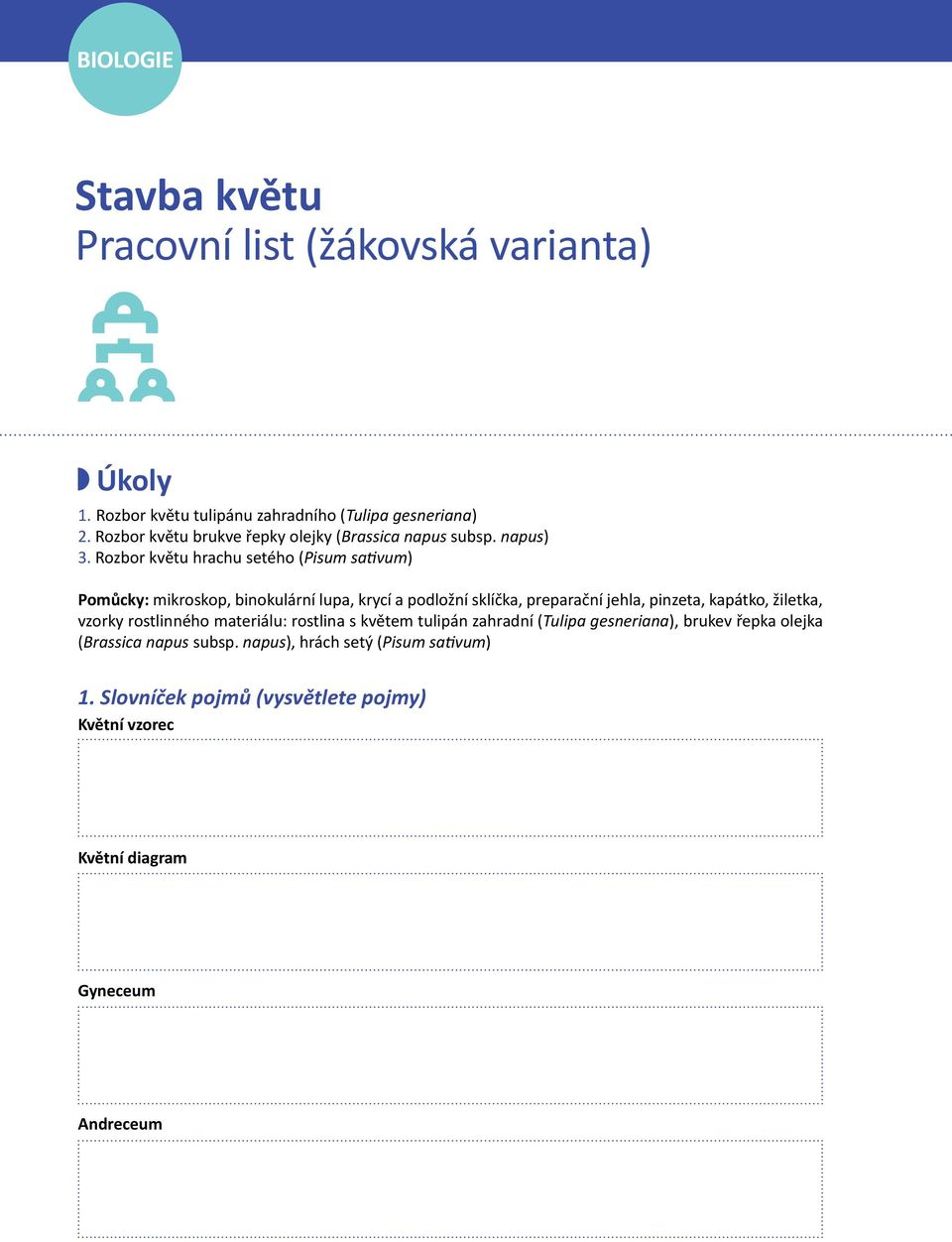 Rozbor květu hrachu setého (Pisum sativum) Pomůcky: mikroskop, binokulární lupa, krycí a podložní sklíčka, preparační jehla, pinzeta, kapátko,
