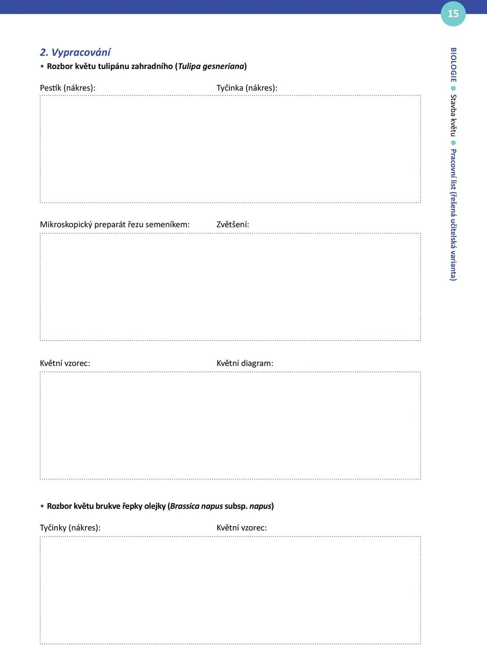 Stavba květu Pracovní list (řešená učitelská varianta) Květní vzorec: Květní diagram: