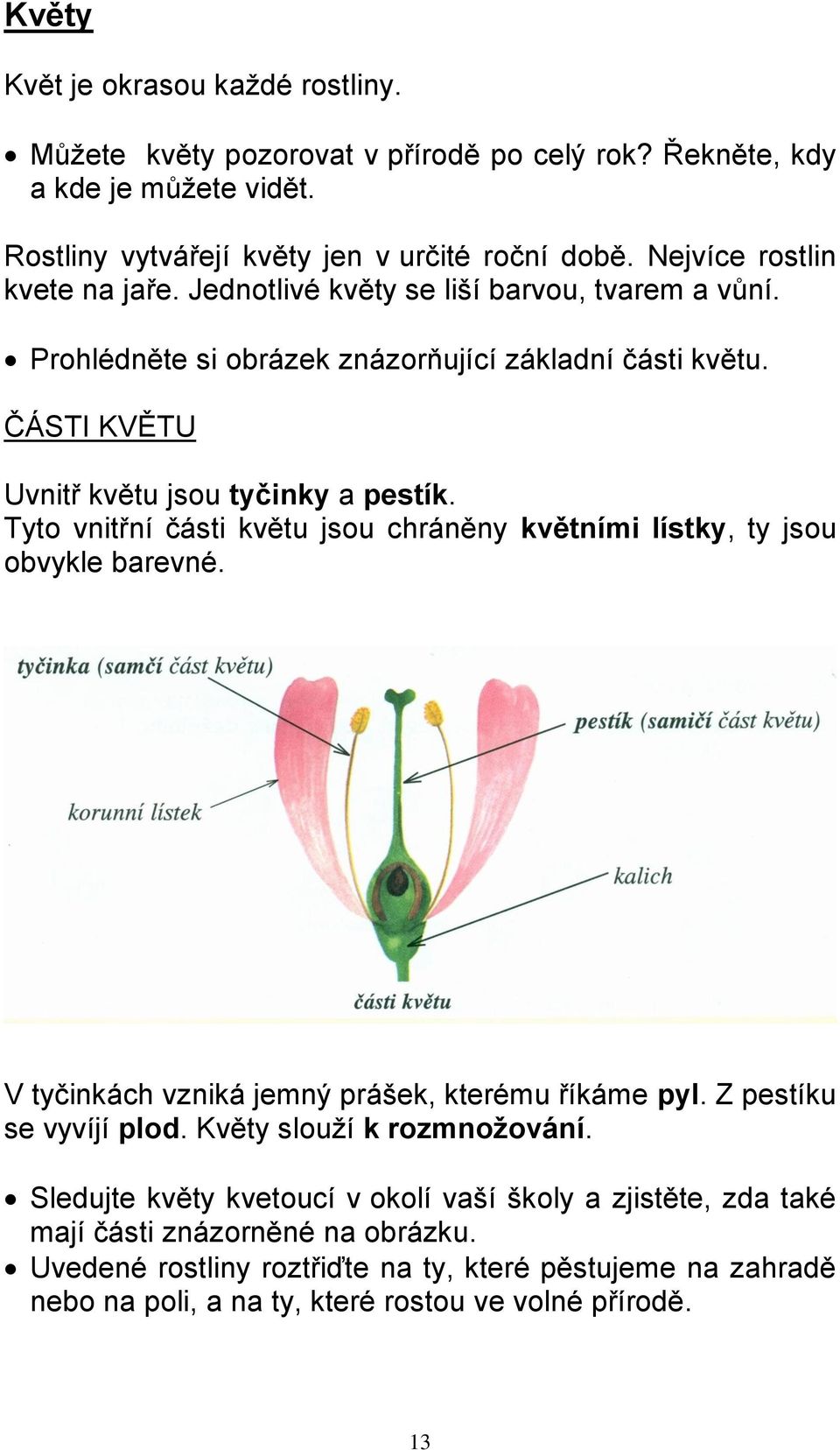 Tyto vnitřní části květu jsou chráněny květními lístky, ty jsou obvykle barevné. V tyčinkách vzniká jemný prášek, kterému říkáme pyl. Z pestíku se vyvíjí plod. Květy slouží k rozmnožování.