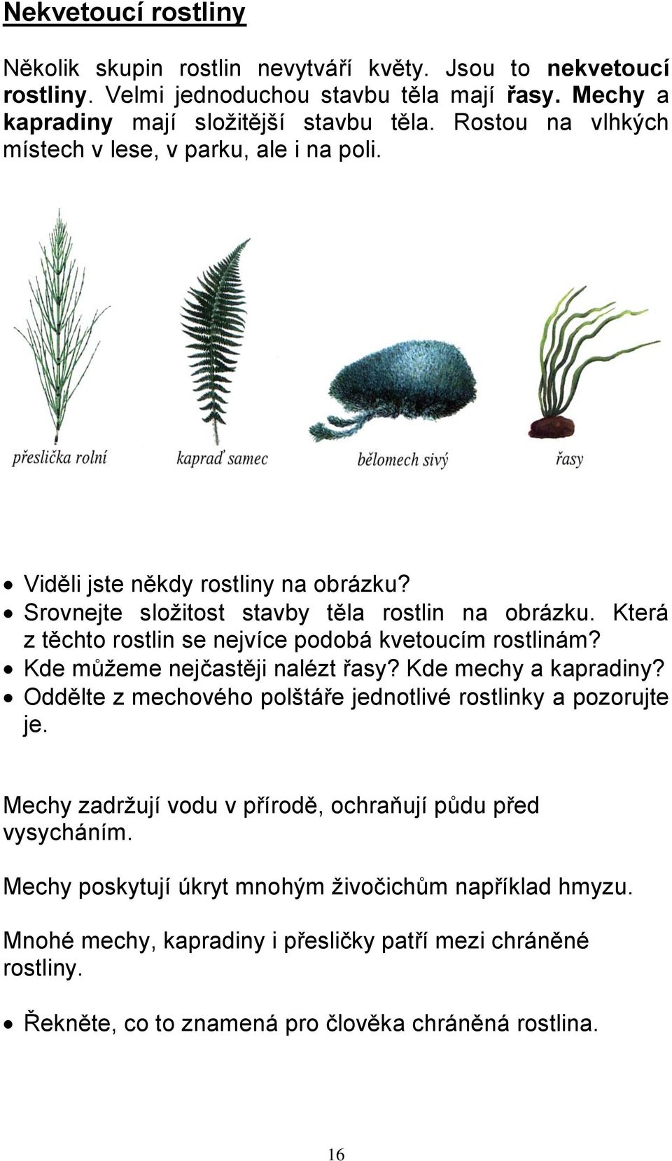 Která z těchto rostlin se nejvíce podobá kvetoucím rostlinám? Kde můžeme nejčastěji nalézt řasy? Kde mechy a kapradiny? Oddělte z mechového polštáře jednotlivé rostlinky a pozorujte je.