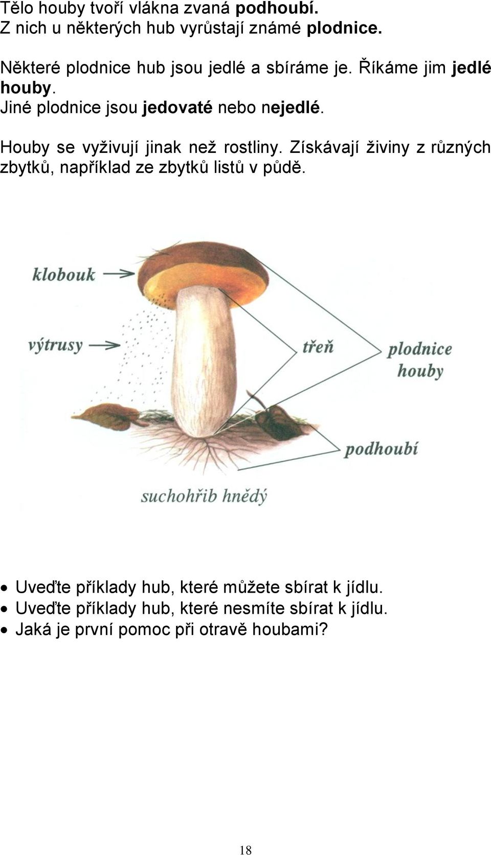 Houby se vyživují jinak než rostliny. Získávají živiny z různých zbytků, například ze zbytků listů v půdě.