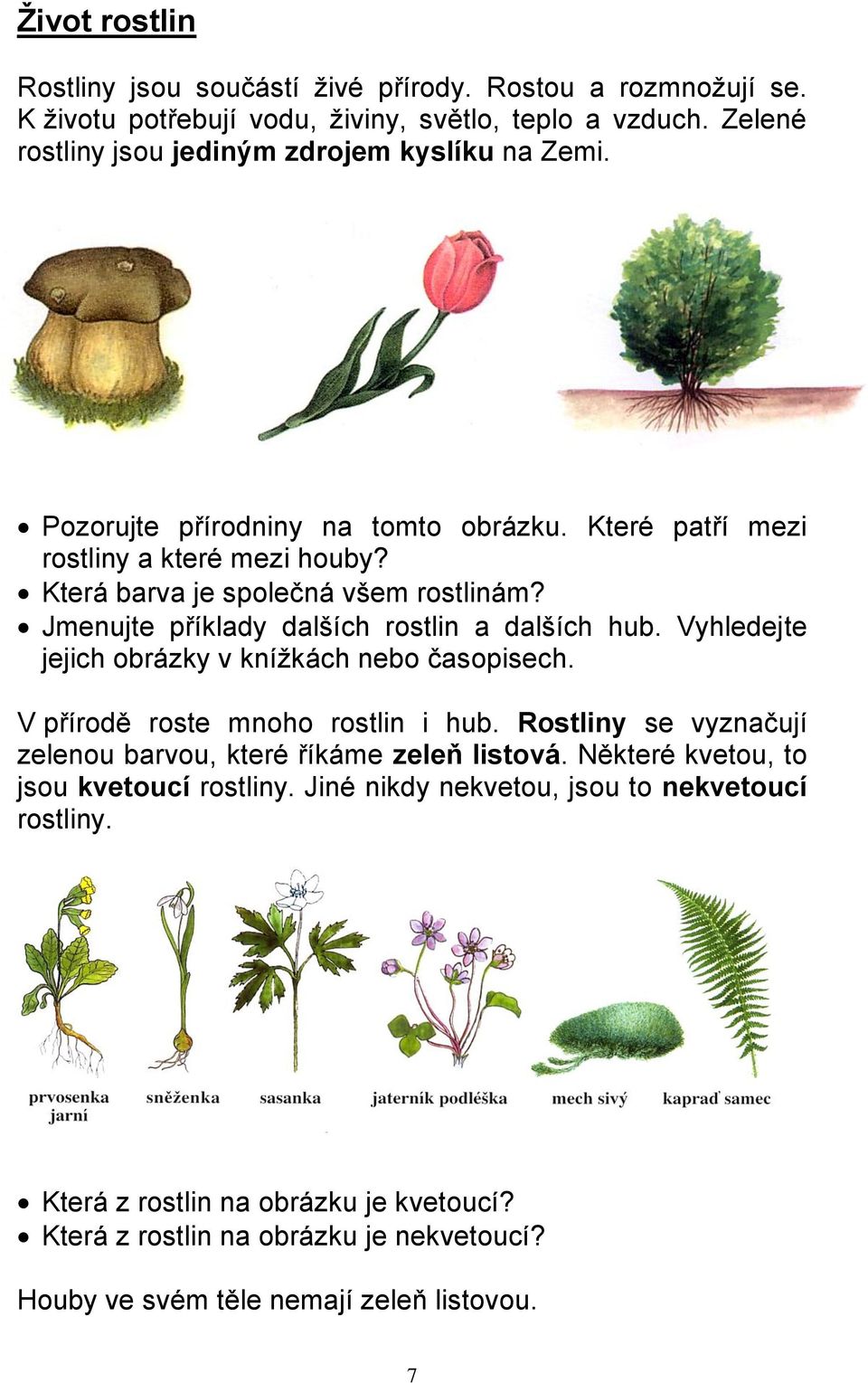 Jmenujte příklady dalších rostlin a dalších hub. Vyhledejte jejich obrázky v knížkách nebo časopisech. V přírodě roste mnoho rostlin i hub.