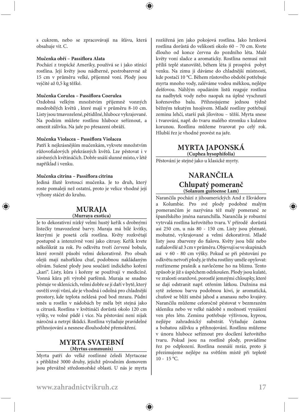 Mučenka Corulea Passiflora Coerulea Ozdobná velkým množstvím příjemně vonných modrobílých květů, které mají v průměru 8-10 cm. Listy jsou tmavozelené, pětidílné, hluboce vykrajované.