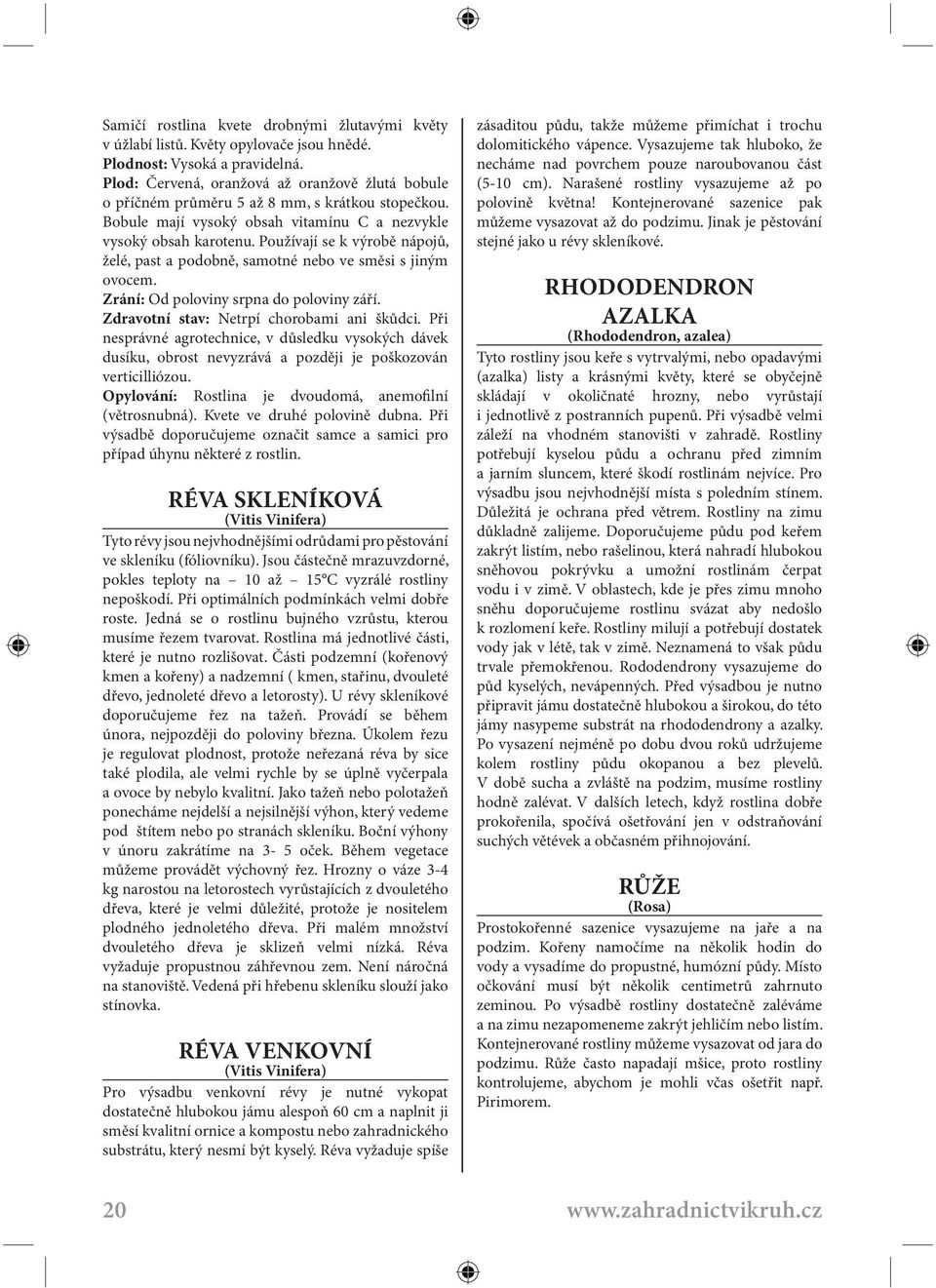 Používají se k výrobě nápojů, želé, past a podobně, samotné nebo ve směsi s jiným ovocem. Zrání: Od poloviny srpna do poloviny září. Zdravotní stav: Netrpí chorobami ani škůdci.