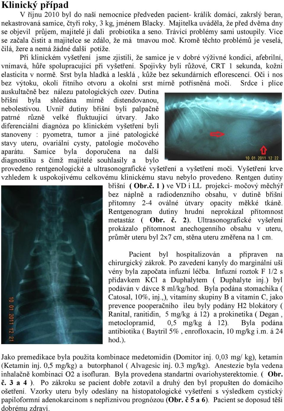 Kromě těchto problémů je veselá, čilá, žere a nemá žádné další potíže.