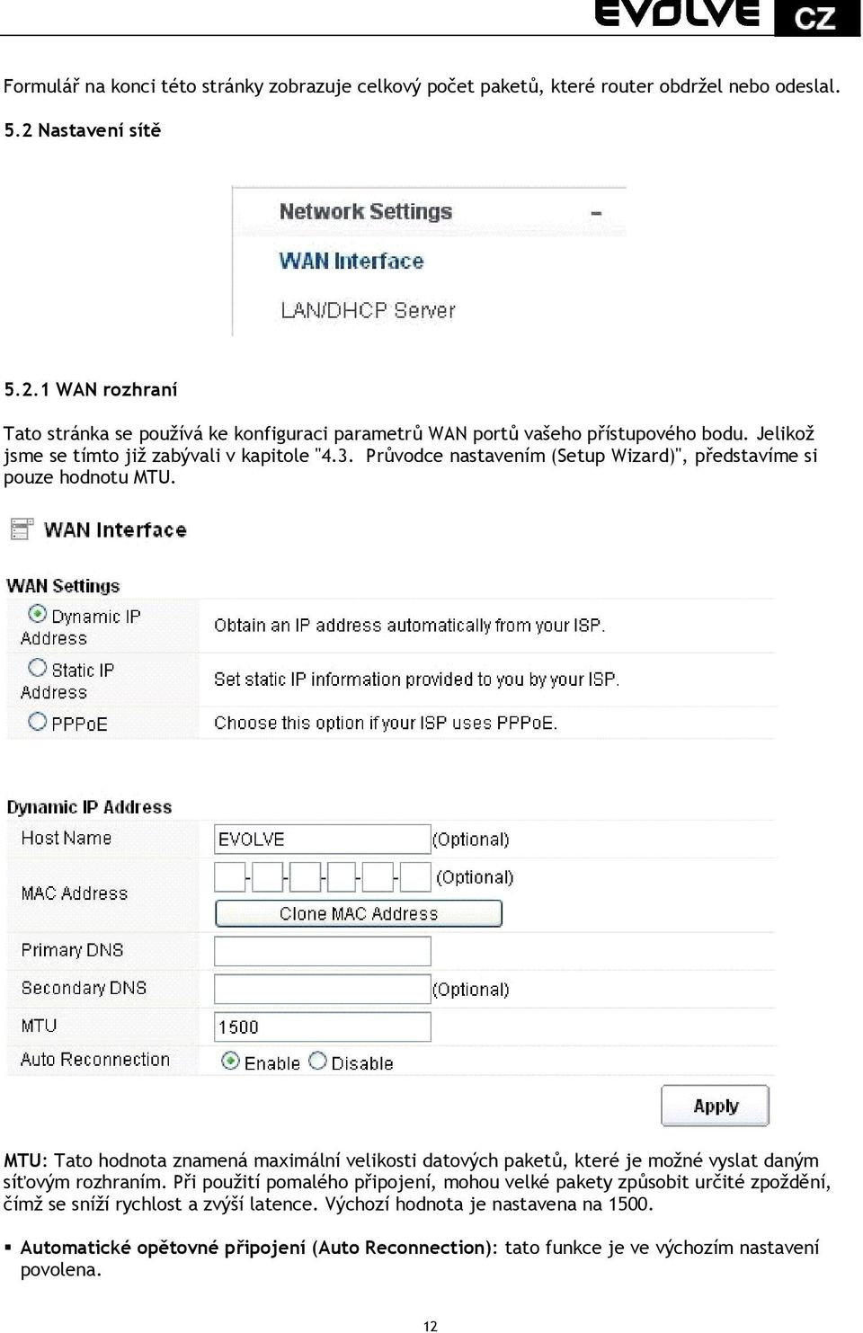 Průvodce nastavením (Setup Wizard)", představíme si pouze hodnotu MTU.