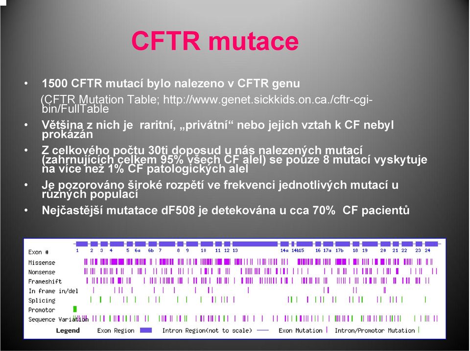 u nás nalezených mutací (zahrnujících celkem 95% všech CF alel) se pouze 8 mutací vyskytuje na více než 1% CF patologických
