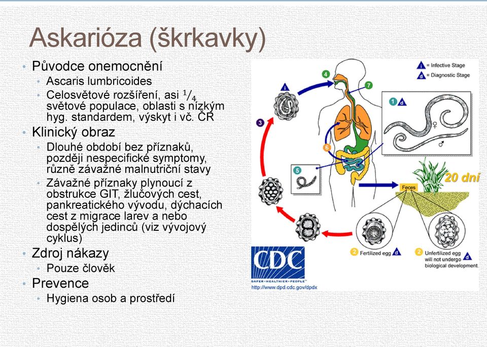 ČR Klinický obraz Dlouhé období bez příznaků, později nespecifické symptomy, různě závažné malnutriční stavy Závažné